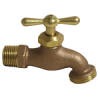 brass hose bibb